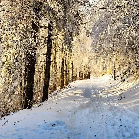 Bed & Breakfast La Bouletière 3*