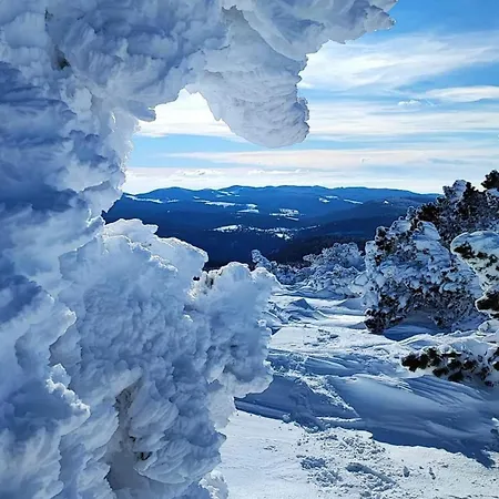 La Bouletière 3* Dourbies